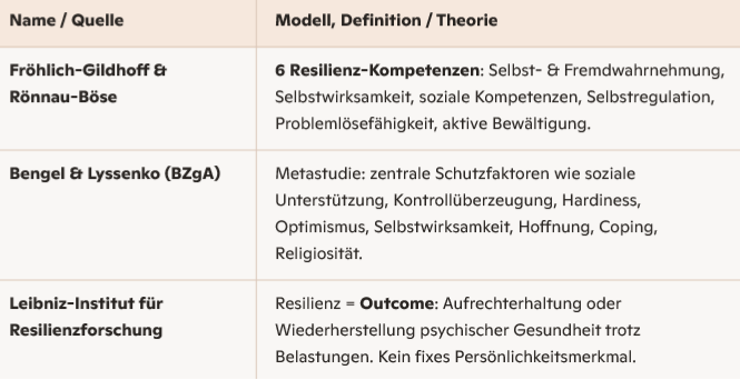 Kompetenzorientierte Resilienz- Modelle -Coaching Flensburg