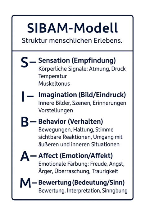 Individuelle Resilienz umfassend trainieren 2 coaching flensburg Sensation, Imagination, Behavior, Affect, Meaning