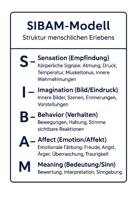 SensationImagination Behavior Affect Meaning