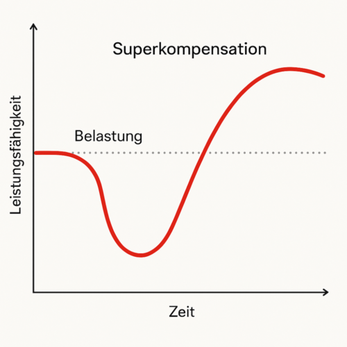 Performance steigern? Erholung ist Teil der Leistung! 1 coaching flensburg Über-Wiederherstellung der Leistungsfähigkeit nach einem Reiz durch Anpassung_Coaching Flensburg
