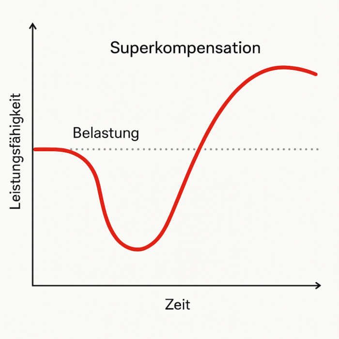 Über-Wiederherstellung der Leistungsfähigkeit nach einem Reiz durch Anpassung_Coaching Flensburg